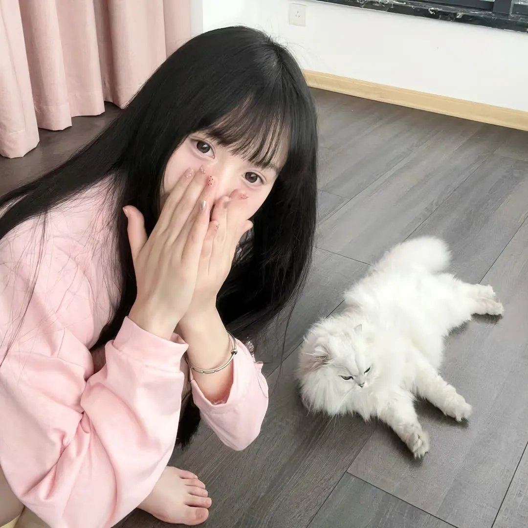 友谊战火 在线观看